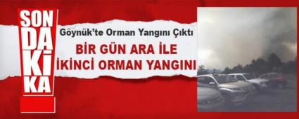 Gynk\'te Orman Yangn kt