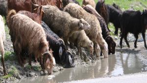 RETEN BOLU\'YA DESTEK DEMELER DEVAM EDYOR