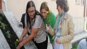 FAKLTE BAHESN EKLENDRDLER