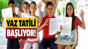 50 BN RENC TATLE GRECEK