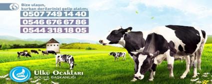 LK OCAKLARI KURBAN DERS N ARI YAPTI