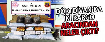 DRTDVAN\'DA K KARGO ARACINDAN NELER IKTI?