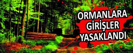 ORMANLARA GRLER YASAKLANDI