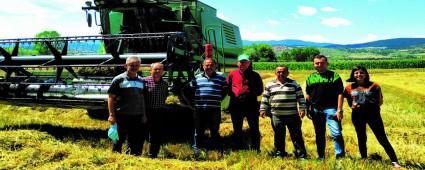 BOLU OVASINDA HASAT VAKT