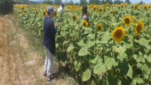 AYIR TIRTILI  MCADELESNDE BAARI SALANDI