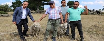 ANKARA (TFTK) KES SEBEN\'DE KORUNACAK