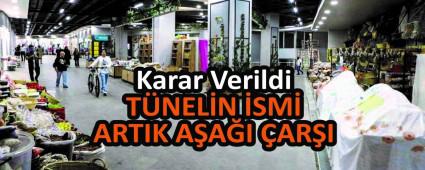 TNELN SM ARTIK AAI ARI