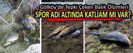 Glky\'de Tepki eken Balk lmleri