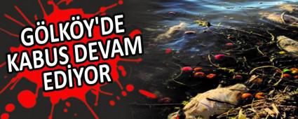 GLKY\'DE KABUS DEVAM EDYOR