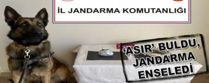 ASIR\' BULDU, JANDARMA ENSELED