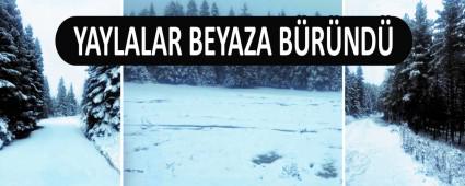 YAYLALAR BEYAZA BRND