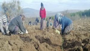 GEREDE\'DE SALEP YZLER GLDRECEK...