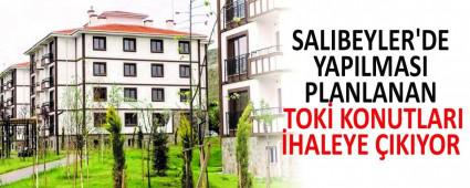 SALIBEYLER\'DE YAPILMASI PLANLANAN TOK KONUTLARI HALEYE IKIYOR