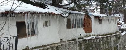 GYNK\'TE 1 METRELK SARKITLAR OLUTU