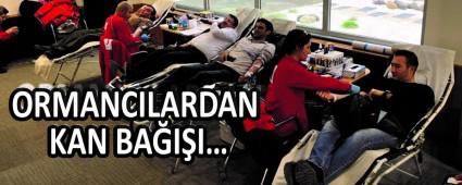 ORMANCILARDAN KAN BAII