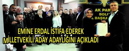 EMNE ERDAL STFA EDEREK MLLETVEKL ADAY ADAYLIINI AIKLADI