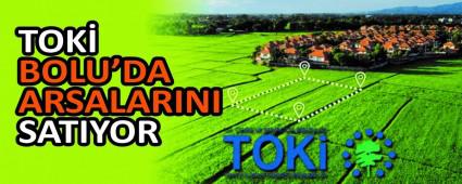TOK BOLU\'DA ARSALARINI SATIYOR