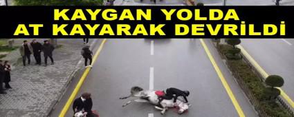 KAYGAN YOLDA AT KAYARAK DEVRLD