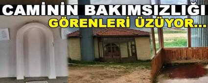 CAMNN BAKIMSIZLII GRENLER ZYOR...