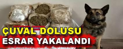 UVAL DOLUSU ESRAR YAKALANDI