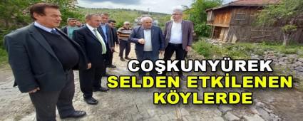 COKUNYREK SELDEN ETKLENEN KYLERDE