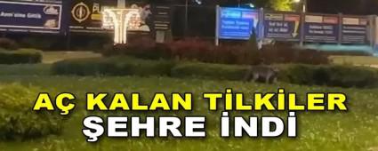 A KALAN TLKLER EHRE ND