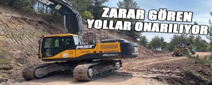ZARAR GREN YOLLAR ONARILIYOR