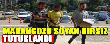  MARANGOZU SOYAN HIRSIZ TUTUKLANDI