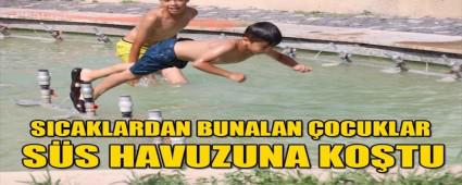 SICAKLARDAN BUNALAN OCUKLAR, SS HAVUZUNA KOTU