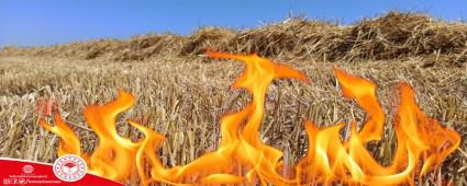 ANIZ YAKMANIN FAYDASI YOK  ZARARI OK