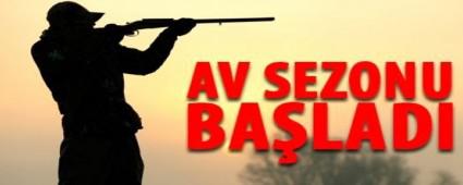 AV SEZONU AILDI