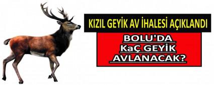 BOLU\'DA KA GEYK AVLANACAK?
