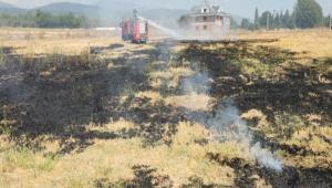 BOLU\'DA ANIZ YANGINI