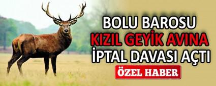 BOLU BAROSU KIZIL GEYK AVINA PTAL DAVASI ATI