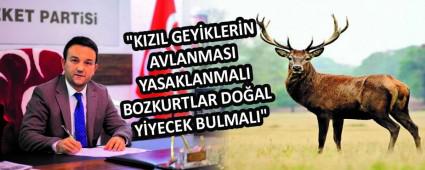 \"KIZIL GEYKLERN AVLANMASI YASAKLANMALI  BOZKURTLAR DOAL YYECEK BULMALI\"