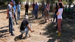 17 AYRI NOKTADAN NUMUNE ALINDI  