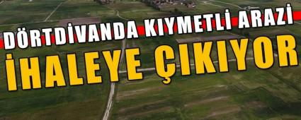 DRTDVANDA KIYMETL ARAZ HALEYE IKIYOR