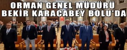 ORMAN GENEL MDR BEKR KARACABEY BOLU\'DA