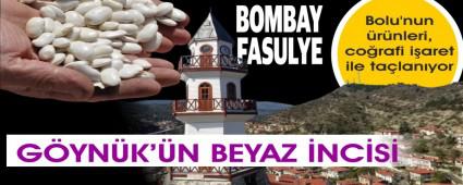 GYNK BOMBAY FASULYES
