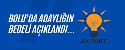 AK Parti belediye bakan adaylnn bedeli akland
