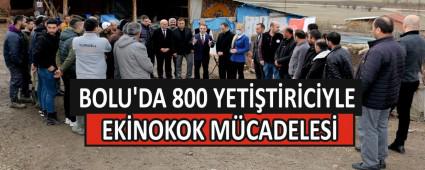 Bolu\'da 800 Yetitiriciyle Ekinokok Mcadelesi