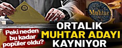 BOLU\'DA MUHTAR ADAYLARININ SAYISI REKORA GDYOR!