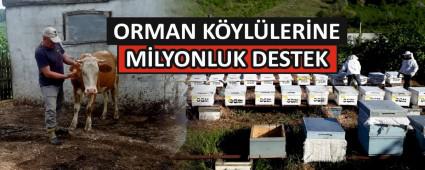 ORMAN KYLLERNE MLYONLUK DESTEK