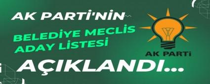 AK PART\'NN BELEDYE MECLS ADAY LSTES AIKLANDI...