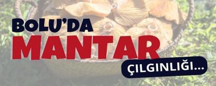 Bolu\'da Patlayan Mantar lgnl