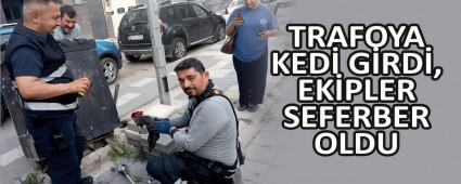 TRAFOYA KED GRD, EKPLER SEFERBER OLDU