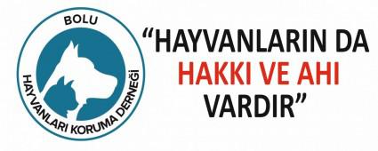 HAYVANLARIN DA HAKKI VE AHI VARDIR