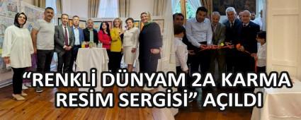 RENKL DNYAM 2A KARMA RESM SERGSݔ AILDI