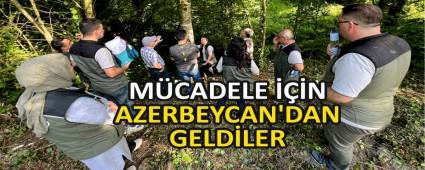 MCADELE N AZERBEYCAN\'DAN GELDLER