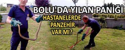 BOLU\'DA YILAN PAN 